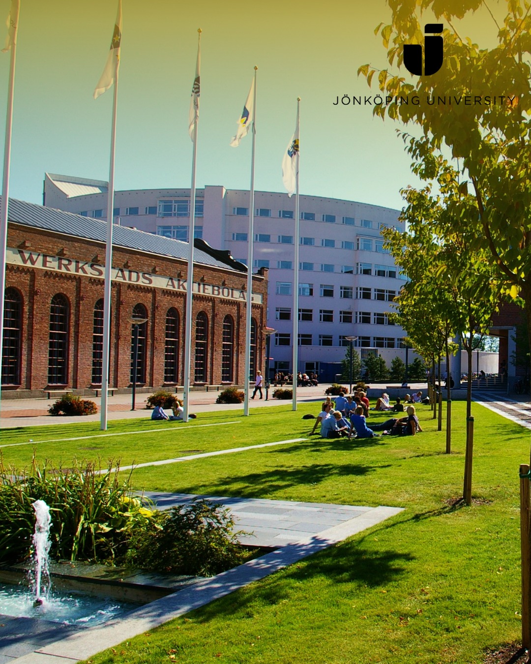 Jönköping Üniversitesi - 00000.jpg